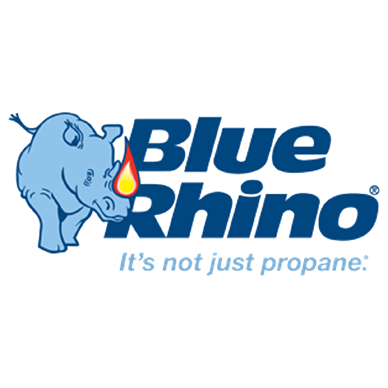 300x300 06
