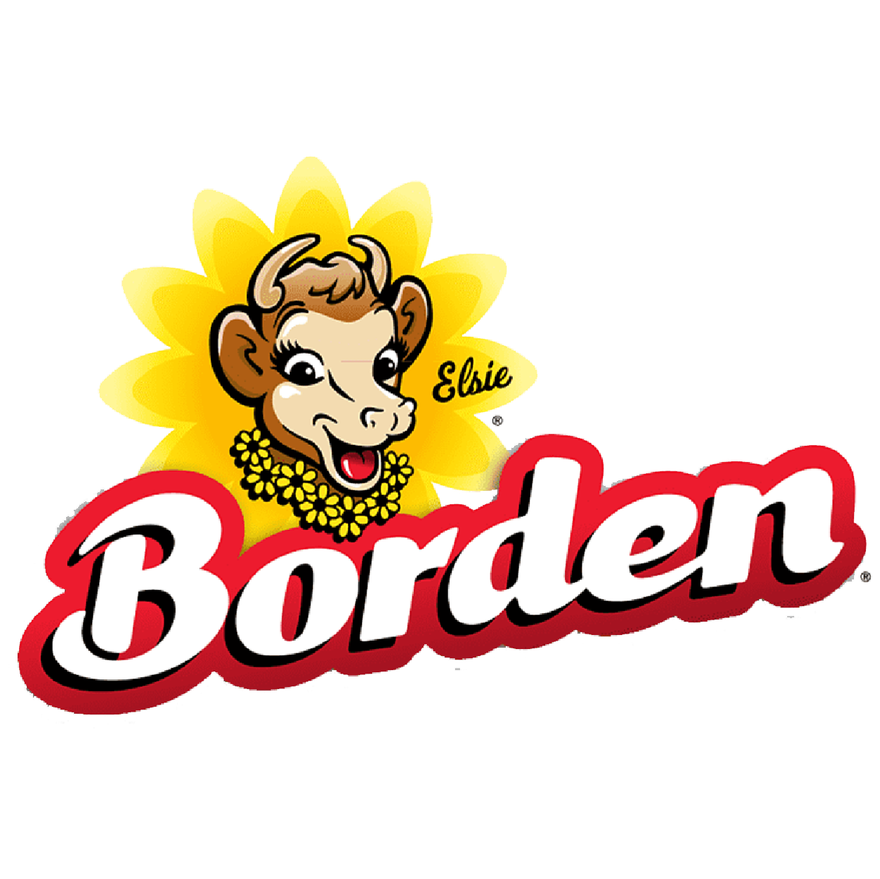 300x300 11
